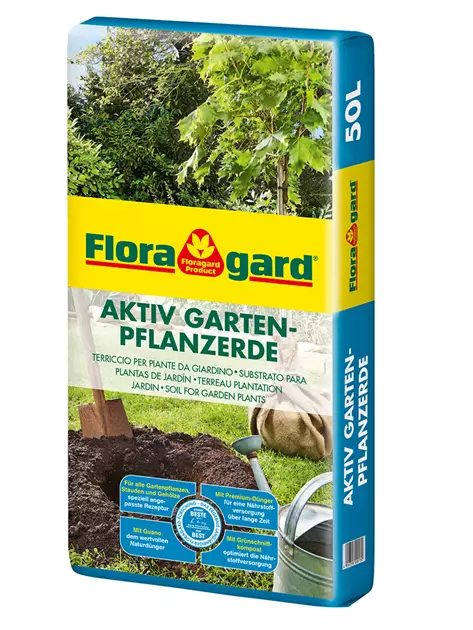 aloe vera augenpads selber machen Aloe vera Augen- und Schläfenpads main image 0