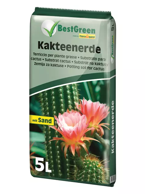 knstliche bromelien Kunstpflanzen | Knstliche Bromelie, 30 cm | Wie echt | Hochwertig