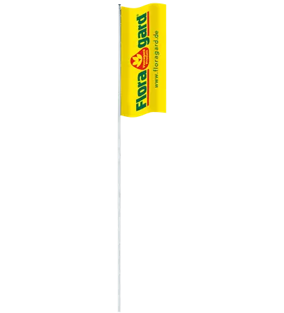 FAHNE-am-Mast.png