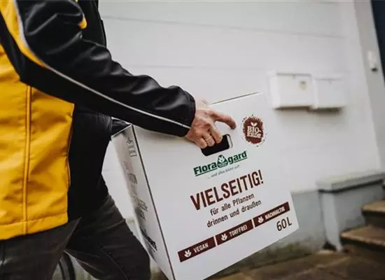 Kisten006.jpg