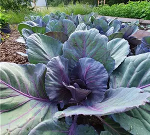 20210625_081457.jpg