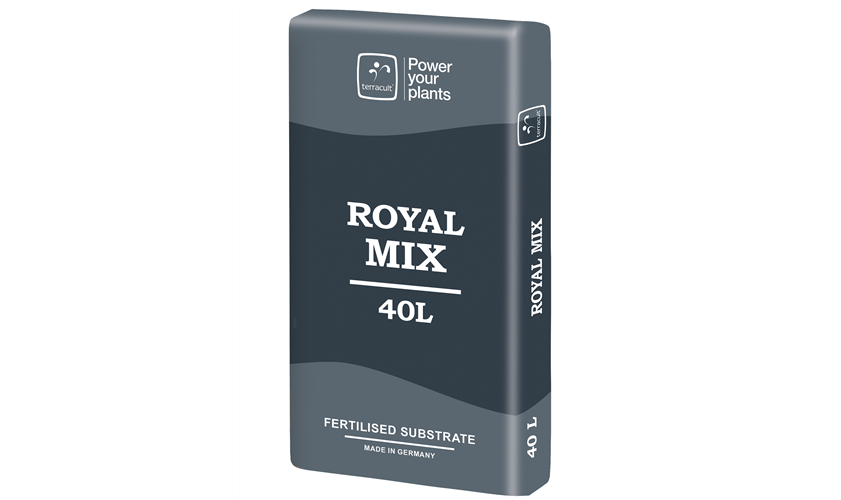 Terracult Royal Mix