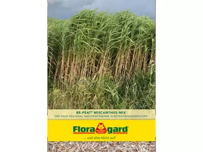 re-peat® Miscanthus-Mix