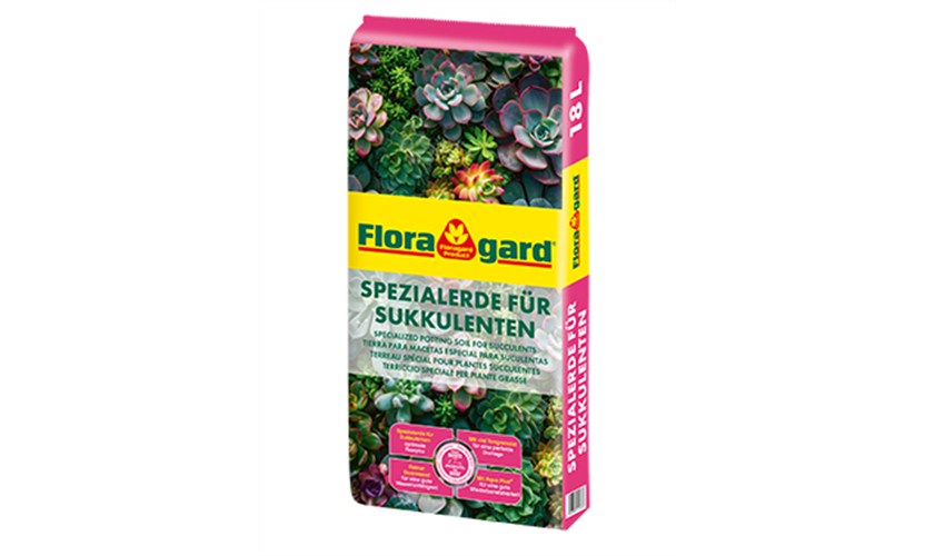 Floragard Terriccio Speciale per Piante Grasse