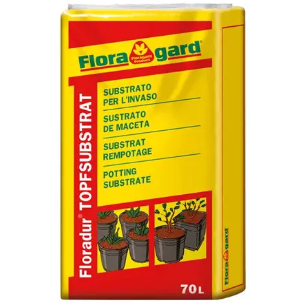 Floradur® Pot Cyclamen/Poinsettia WF