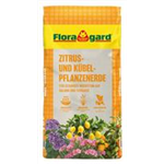 Floragard Terriccio per Agrumi e Piante da Fioriera